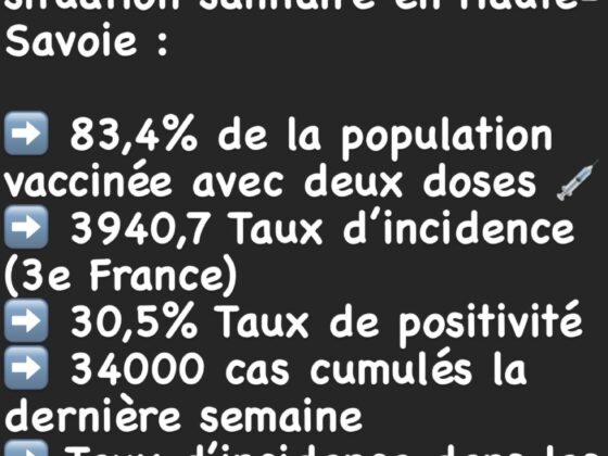 Le nouveau découpage électoral des cantons de Haute Savoie Virginie